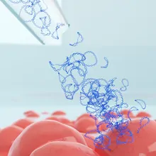 Learn how to develop robust cell therapy workflows